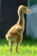 White Blue Yellow on 22nd May 2013 White Blue Yellow on 22nd May 2013